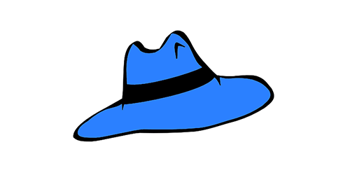 Blue Hats Hackers