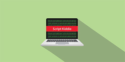 Script Kiddies Hackers